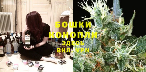 PSILOCYBIN Армянск