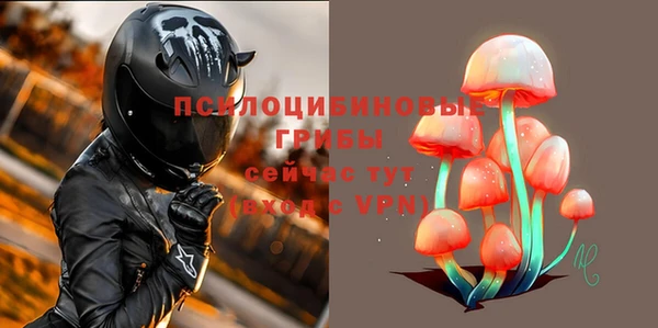 PSILOCYBIN Армянск