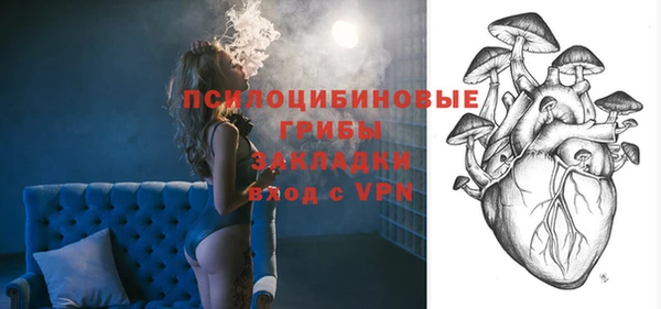 PSILOCYBIN Армянск