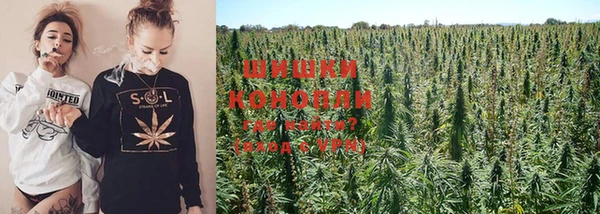 PSILOCYBIN Армянск