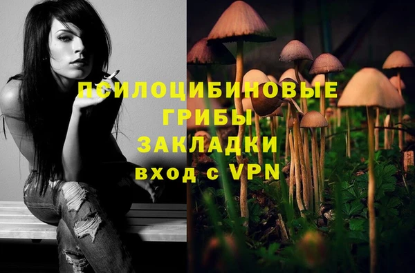 круглые Арсеньев