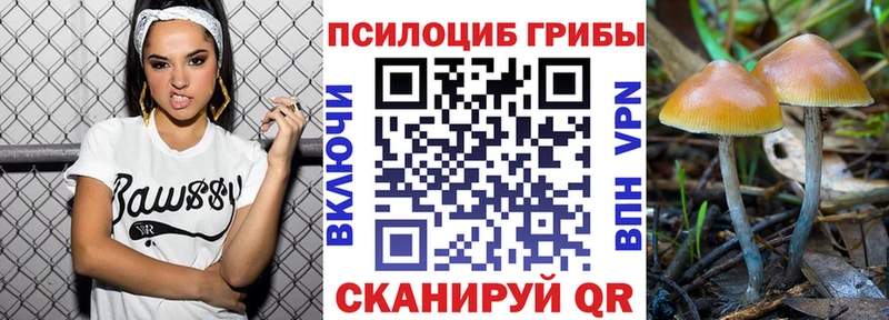 закладка  мориарти как зайти  Галлюциногенные грибы Psilocybine cubensis  Татарск 